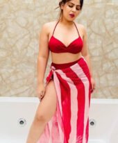 Palam Escorts, Verified Delhi Call Girls in Aerocity – 9220592151